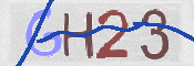To prevent spam, please prove you are a real person by typing the characters you see in this box into the box below.