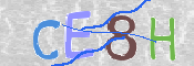 To prevent spam, please prove you are a real person by typing the characters you see in this box into the box below.
