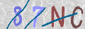 To prevent spam, please prove you are a real person by typing the characters you see in this box into the box below.