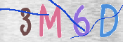 To prevent spam, please prove you are a real person by typing the characters you see in this box into the box below.