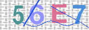 To prevent spam, please prove you are a real person by typing the characters you see in this box into the box below.
