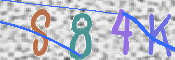 To prevent spam, please prove you are a real person by typing the characters you see in this box into the box below.