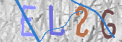 To prevent spam, please prove you are a real person by typing the characters you see in this box into the box below.