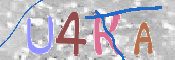 To prevent spam, please prove you are a real person by typing the characters you see in this box into the box below.