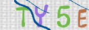 To prevent spam, please prove you are a real person by typing the characters you see in this box into the box below.