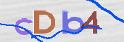To prevent spam, please prove you are a real person by typing the characters you see in this box into the box below.