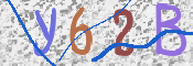 To prevent spam, please prove you are a real person by typing the characters you see in this box into the box below.