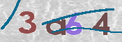 To prevent spam, please prove you are a real person by typing the characters you see in this box into the box below.