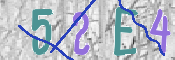 To prevent spam, please prove you are a real person by typing the characters you see in this box into the box below.