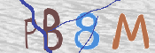 To prevent spam, please prove you are a real person by typing the characters you see in this box into the box below.