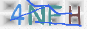 To prevent spam, please prove you are a real person by typing the characters you see in this box into the box below.