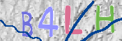 To prevent spam, please prove you are a real person by typing the characters you see in this box into the box below.