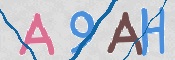 To prevent spam, please prove you are a real person by typing the characters you see in this box into the box below.