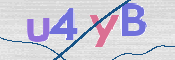 To prevent spam, please prove you are a real person by typing the characters you see in this box into the box below.