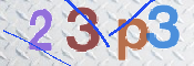 To prevent spam, please prove you are a real person by typing the characters you see in this box into the box below.