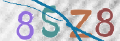 To prevent spam, please prove you are a real person by typing the characters you see in this box into the box below.