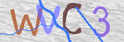 To prevent spam, please prove you are a real person by typing the characters you see in this box into the box below.