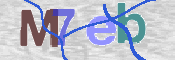 To prevent spam, please prove you are a real person by typing the characters you see in this box into the box below.