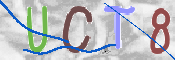 To prevent spam, please prove you are a real person by typing the characters you see in this box into the box below.