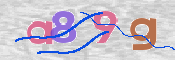 To prevent spam, please prove you are a real person by typing the characters you see in this box into the box below.