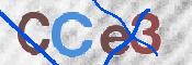 To prevent spam, please prove you are a real person by typing the characters you see in this box into the box below.