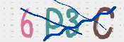 To prevent spam, please prove you are a real person by typing the characters you see in this box into the box below.