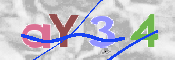 To prevent spam, please prove you are a real person by typing the characters you see in this box into the box below.
