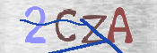 To prevent spam, please prove you are a real person by typing the characters you see in this box into the box below.