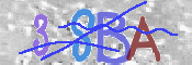 To prevent spam, please prove you are a real person by typing the characters you see in this box into the box below.
