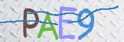To prevent spam, please prove you are a real person by typing the characters you see in this box into the box below.
