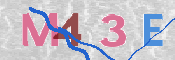 To prevent spam, please prove you are a real person by typing the characters you see in this box into the box below.