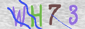 To prevent spam, please prove you are a real person by typing the characters you see in this box into the box below.