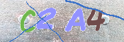 To prevent spam, please prove you are a real person by typing the characters you see in this box into the box below.