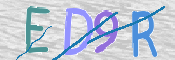 To prevent spam, please prove you are a real person by typing the characters you see in this box into the box below.