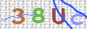 To prevent spam, please prove you are a real person by typing the characters you see in this box into the box below.