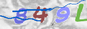 To prevent spam, please prove you are a real person by typing the characters you see in this box into the box below.