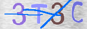 To prevent spam, please prove you are a real person by typing the characters you see in this box into the box below.