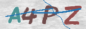To prevent spam, please prove you are a real person by typing the characters you see in this box into the box below.