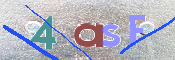 To prevent spam, please prove you are a real person by typing the characters you see in this box into the box below.