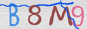 To prevent spam, please prove you are a real person by typing the characters you see in this box into the box below.