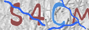 To prevent spam, please prove you are a real person by typing the characters you see in this box into the box below.