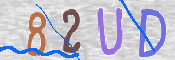 To prevent spam, please prove you are a real person by typing the characters you see in this box into the box below.