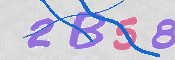 To prevent spam, please prove you are a real person by typing the characters you see in this box into the box below.