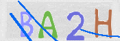 To prevent spam, please prove you are a real person by typing the characters you see in this box into the box below.