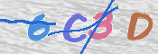 To prevent spam, please prove you are a real person by typing the characters you see in this box into the box below.