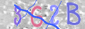 To prevent spam, please prove you are a real person by typing the characters you see in this box into the box below.