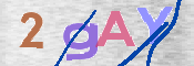 To prevent spam, please prove you are a real person by typing the characters you see in this box into the box below.