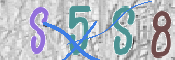 To prevent spam, please prove you are a real person by typing the characters you see in this box into the box below.