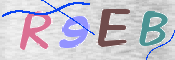 To prevent spam, please prove you are a real person by typing the characters you see in this box into the box below.