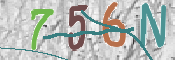 To prevent spam, please prove you are a real person by typing the characters you see in this box into the box below.
